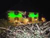 maison éclairée par LED vert